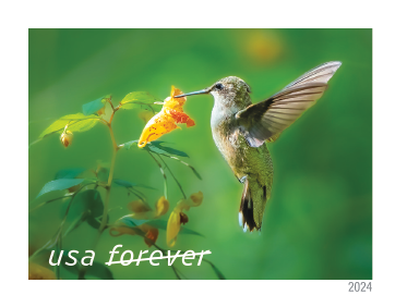 2024 Garden Delights Stamps | Tool Stamps US Postage Stamps
