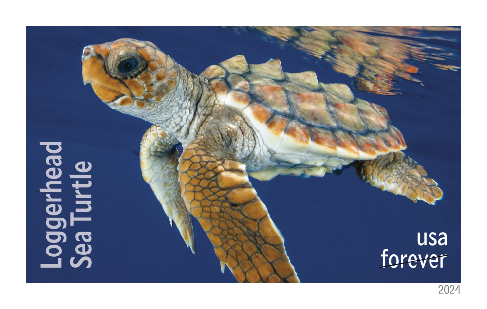 2024 Protect Sea Turtles Stamps | Tool Stamps US Postage Stamps