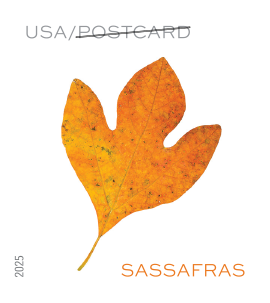 2025 Vibrant Leaves Stamps | Tool Stamps US Postage Stamps
