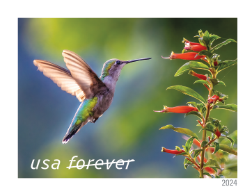 2024 Garden Delights Stamps | Tool Stamps US Postage Stamps