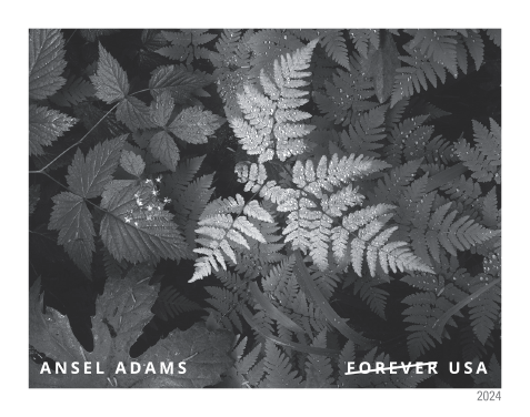 2024 Ansel Adams Stamps | Tool Stamps US Postage Stamps