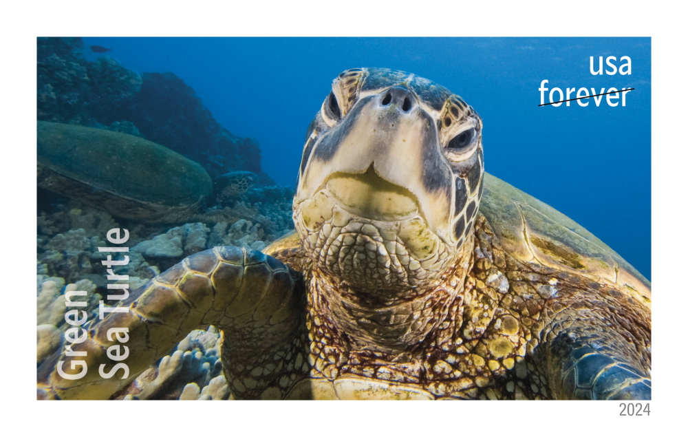 2024 Protect Sea Turtles Stamps | Tool Stamps US Postage Stamps
