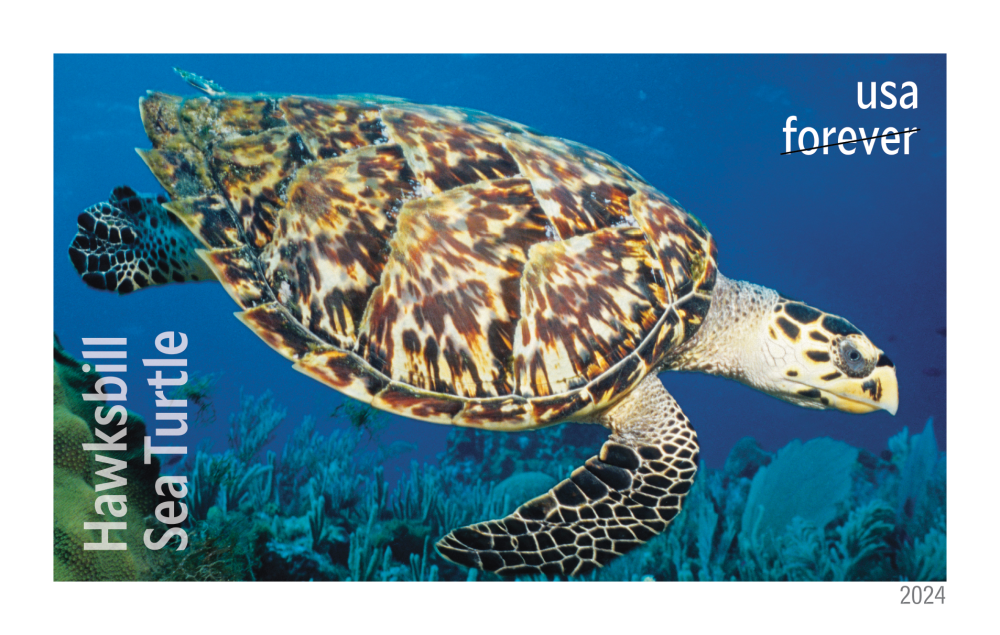 2024 Protect Sea Turtles Stamps | Tool Stamps US Postage Stamps